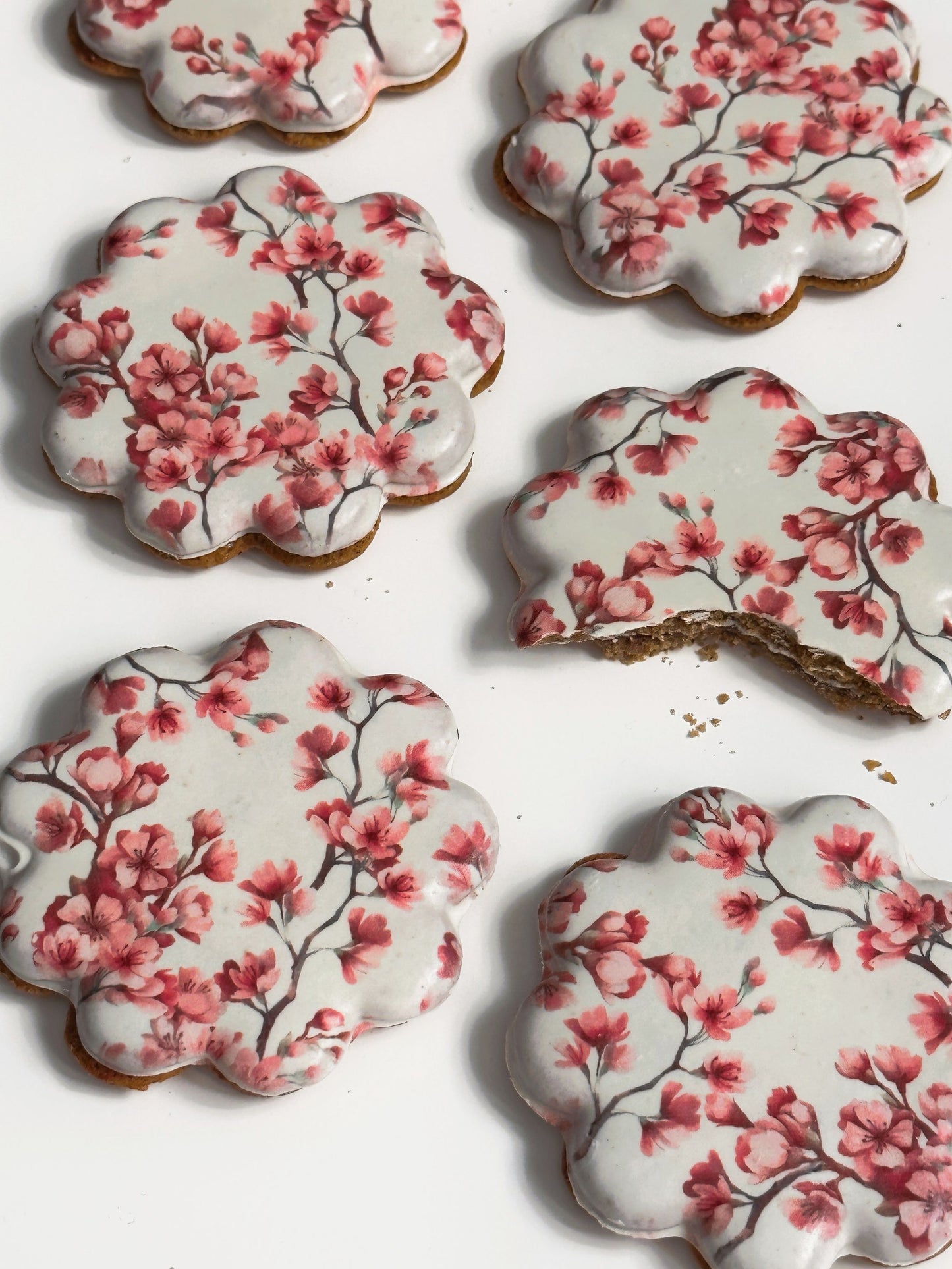 Hanami Cherry Blossom - Speculoos Biscuits with a twist